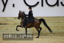 22R13_13806 proof
