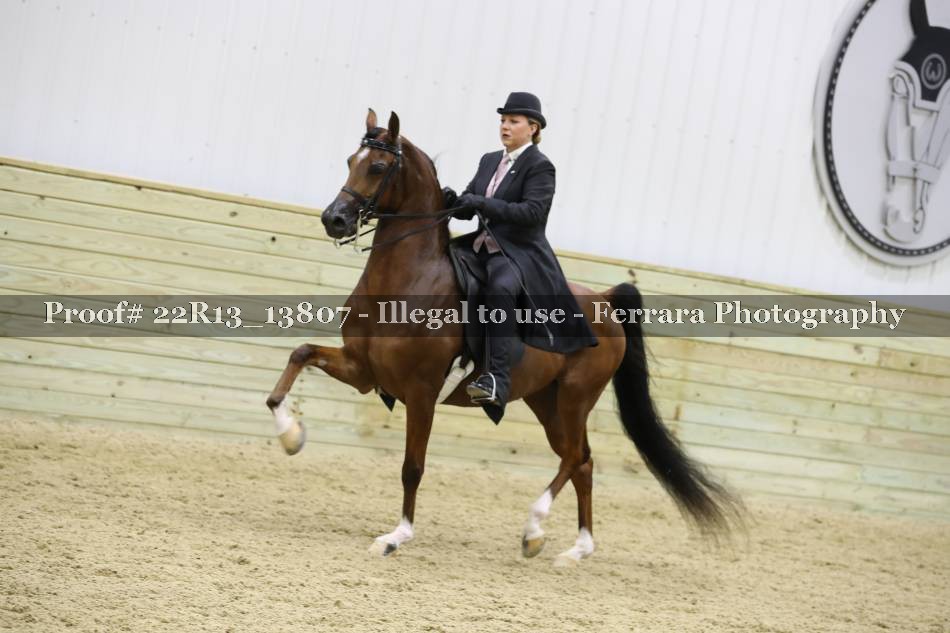 Proof 22R13_13807