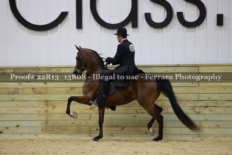 Proof 22R13_13808