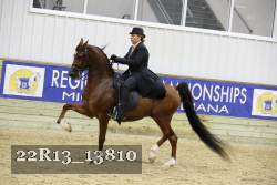 22R13_13810 proof