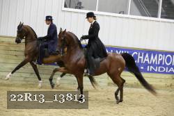 22R13_13813 proof