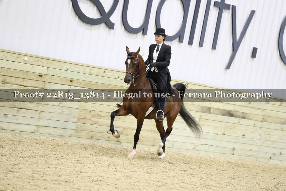 Proof 22R13_13814