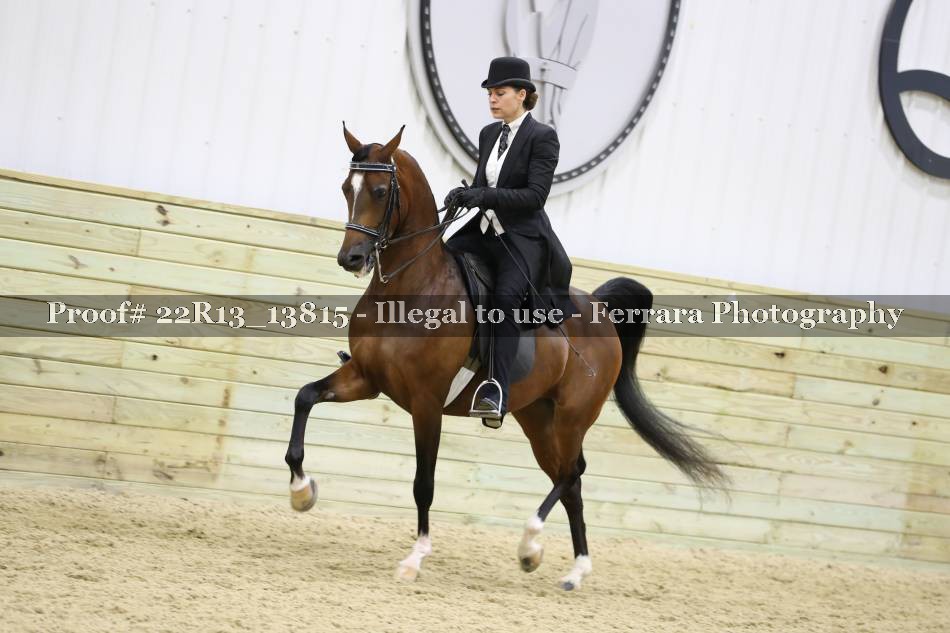 Proof 22R13_13815