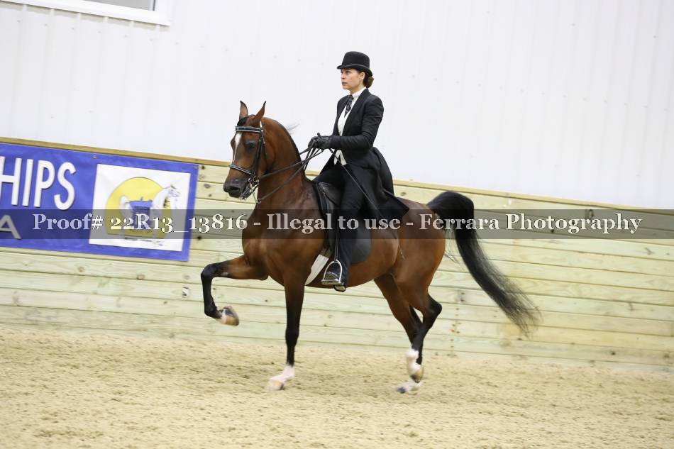 Proof 22R13_13816