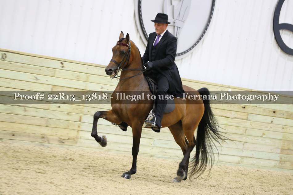Proof 22R13_13818