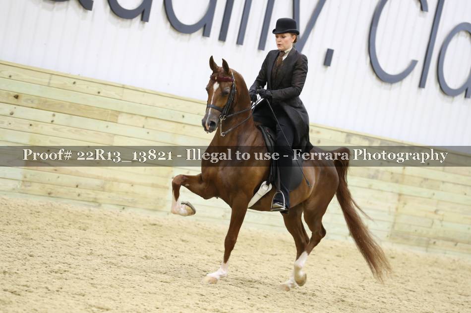 Proof 22R13_13821