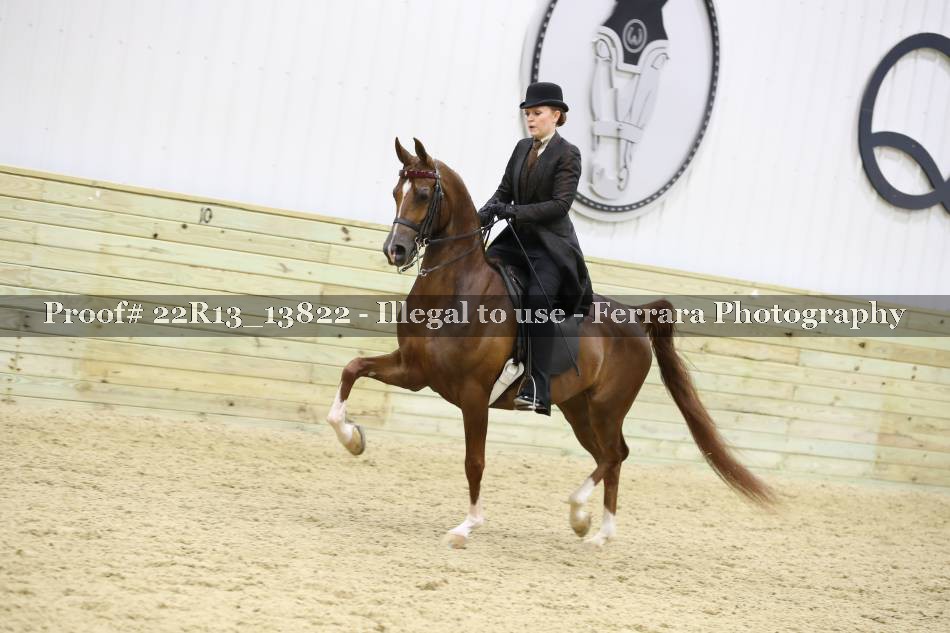 Proof 22R13_13822
