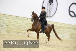 22R13_13822 proof