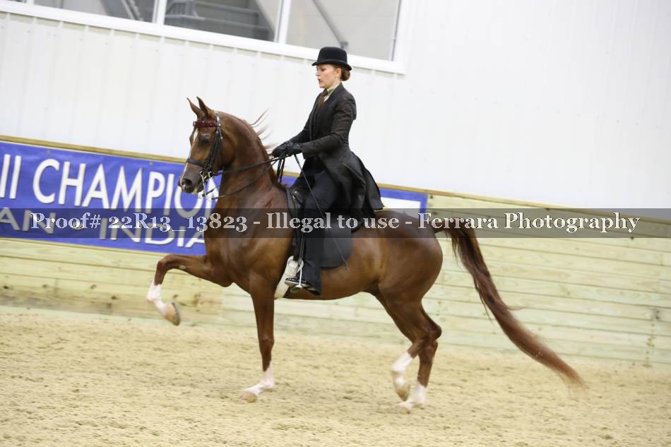 Proof 22R13_13823