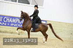 22R13_13823 proof