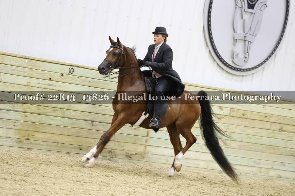 Proof 22R13_13826