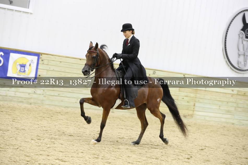 Proof 22R13_13827