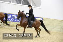 22R13_13828 proof