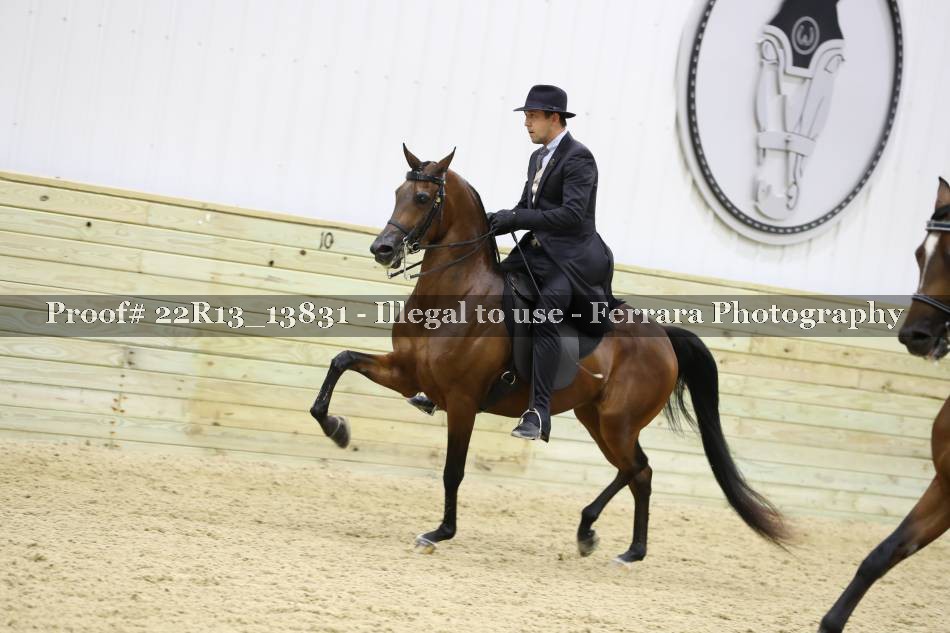 Proof 22R13_13831