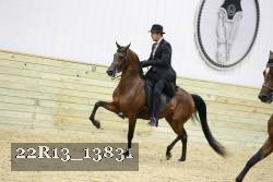 22R13_13831 proof