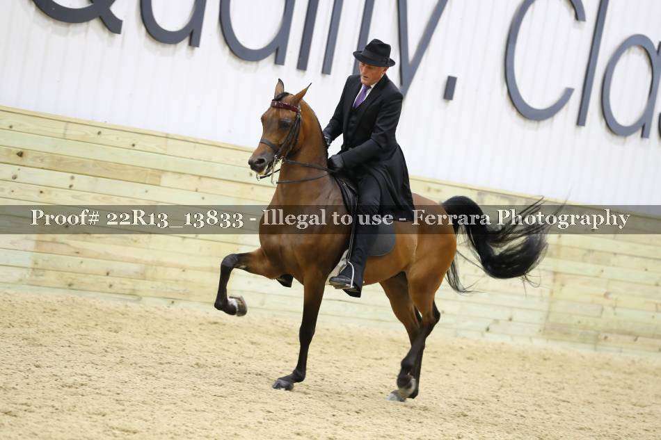 Proof 22R13_13833