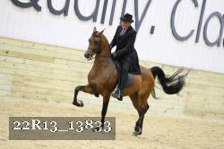 22R13_13833 proof