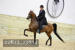 22R13_13834 proof