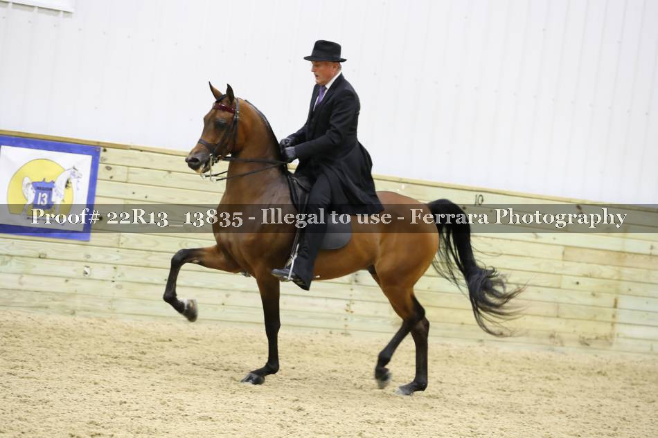 Proof 22R13_13835