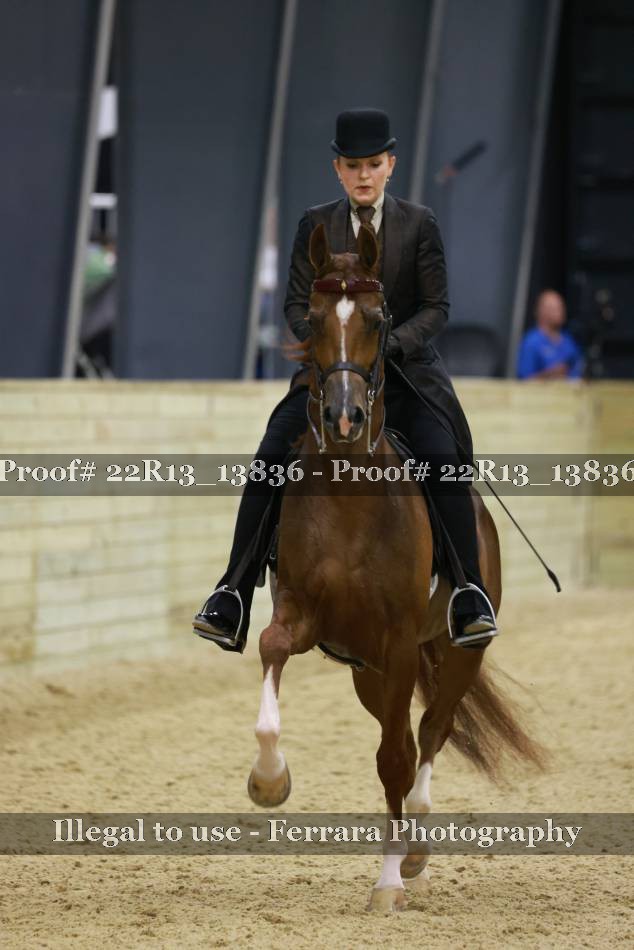 Proof 22R13_13836