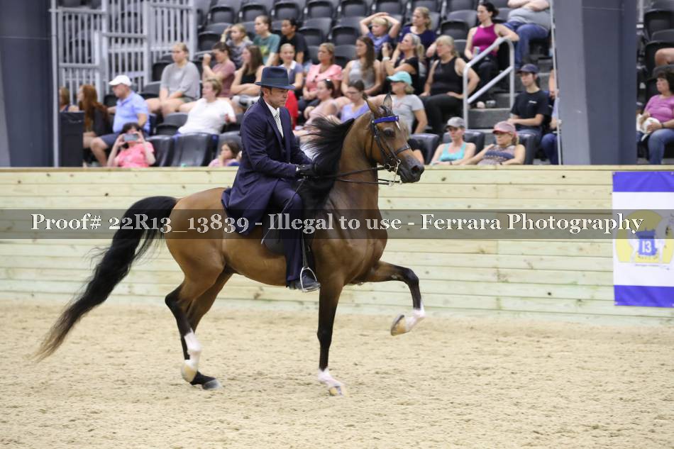 Proof 22R13_13839