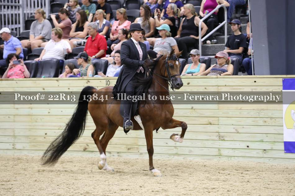Proof 22R13_13841