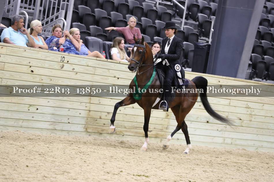 Proof 22R13_13850
