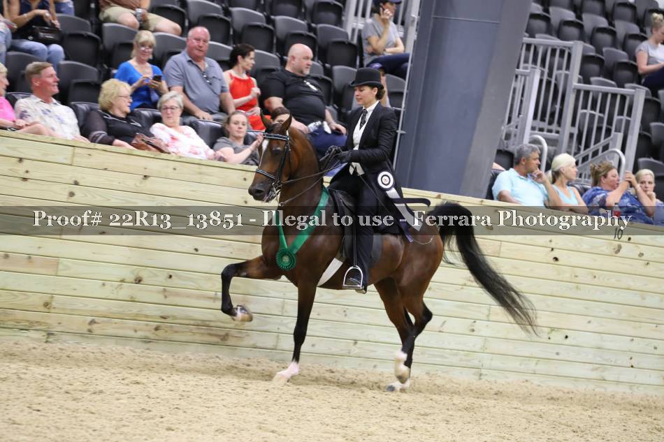 Proof 22R13_13851