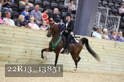 22R13_13851 proof