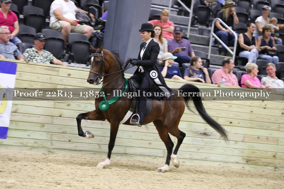Proof 22R13_13852
