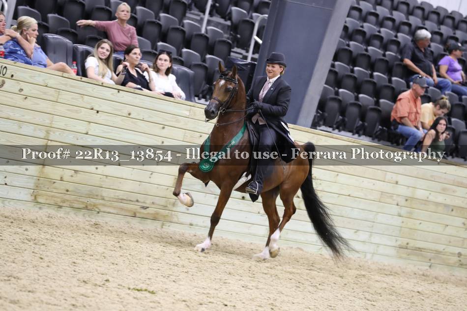 Proof 22R13_13854