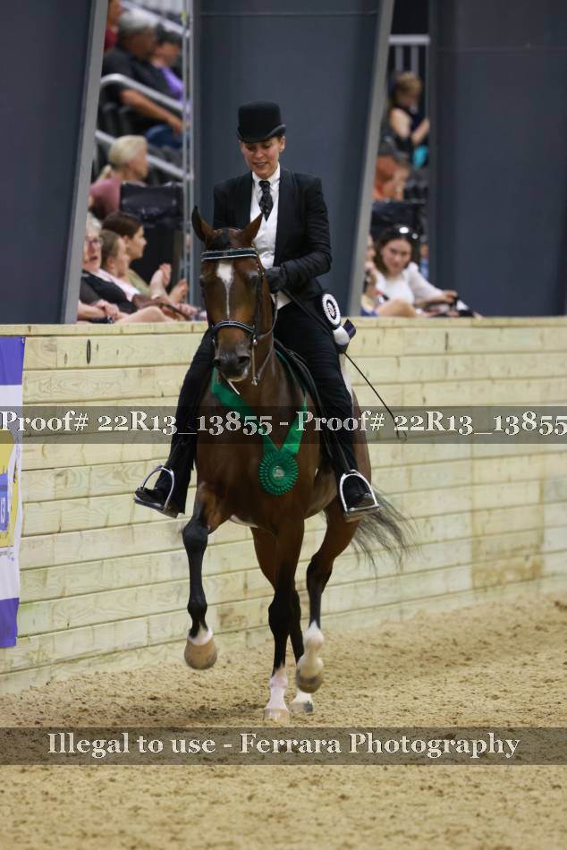 Proof 22R13_13855