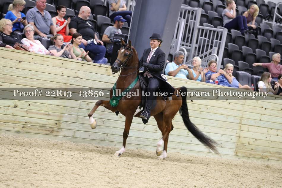 Proof 22R13_13856