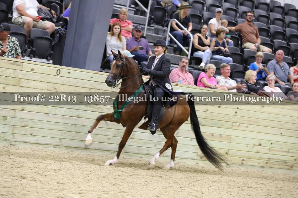 Proof 22R13_13857