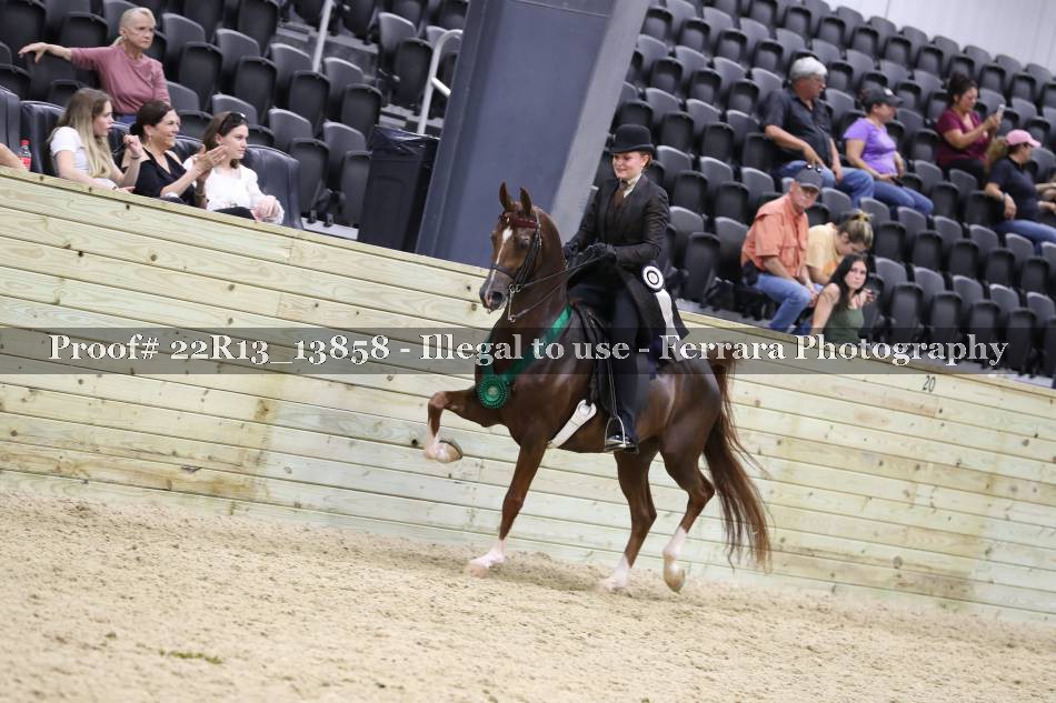 Proof 22R13_13858