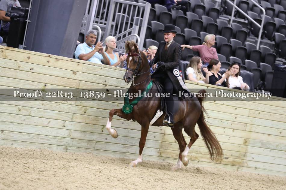 Proof 22R13_13859