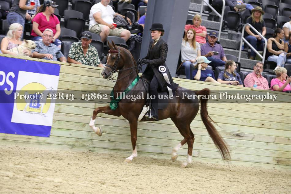 Proof 22R13_13862