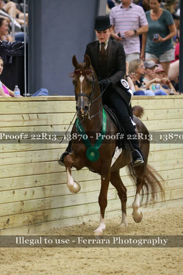 Proof 22R13_13870