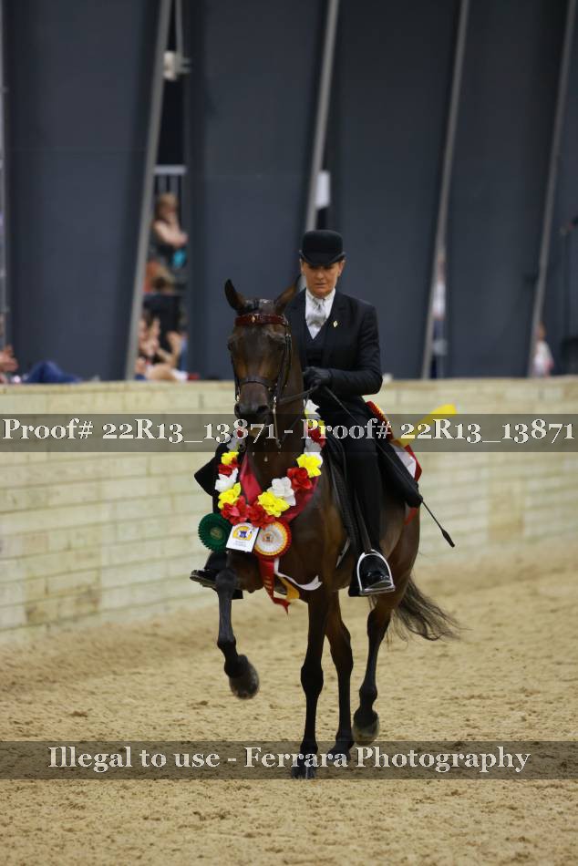 Proof 22R13_13871