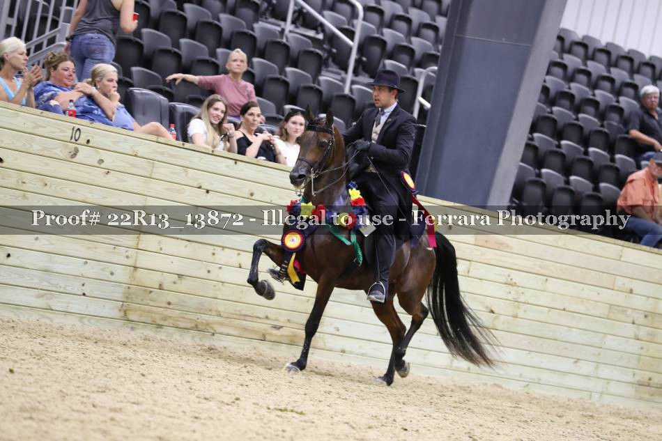 Proof 22R13_13872