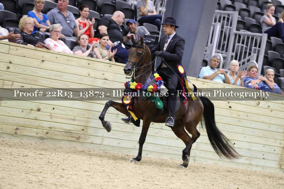 Proof 22R13_13873