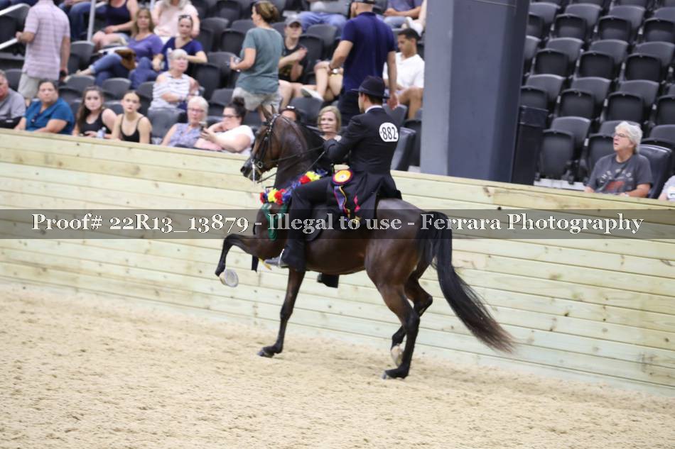Proof 22R13_13879