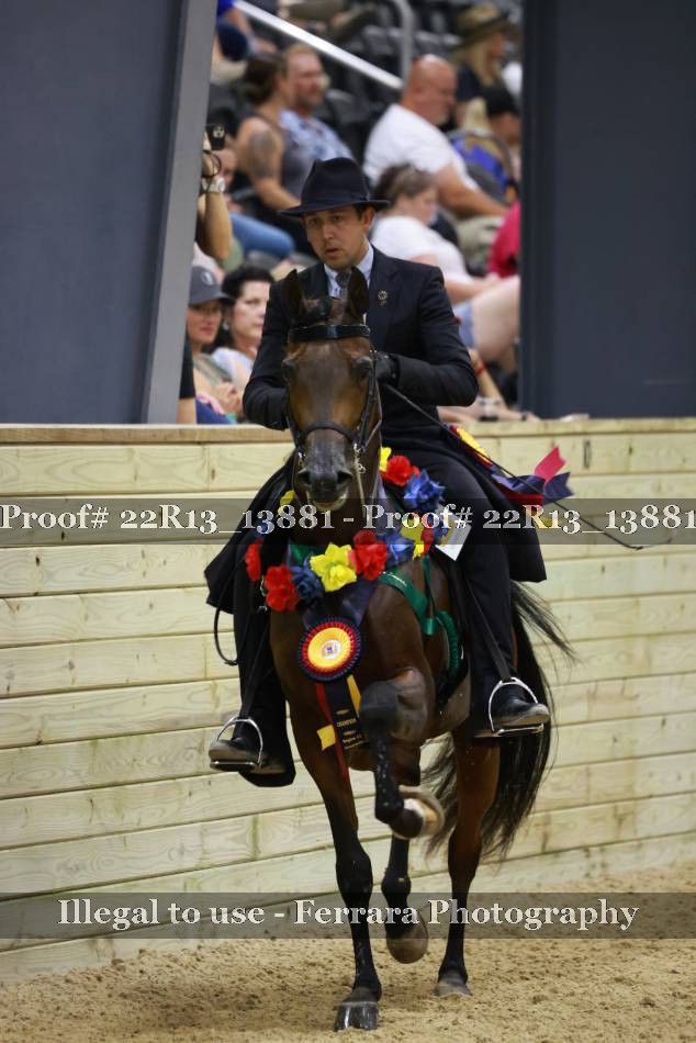 Proof 22R13_13881