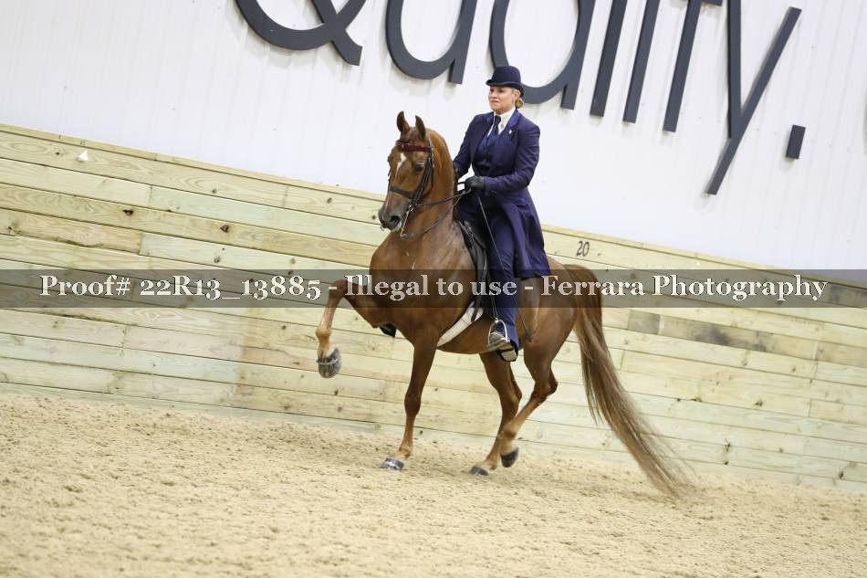 Proof 22R13_13885