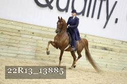 22R13_13885 proof