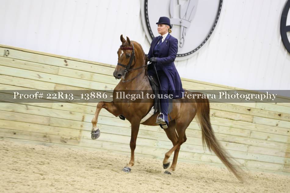 Proof 22R13_13886