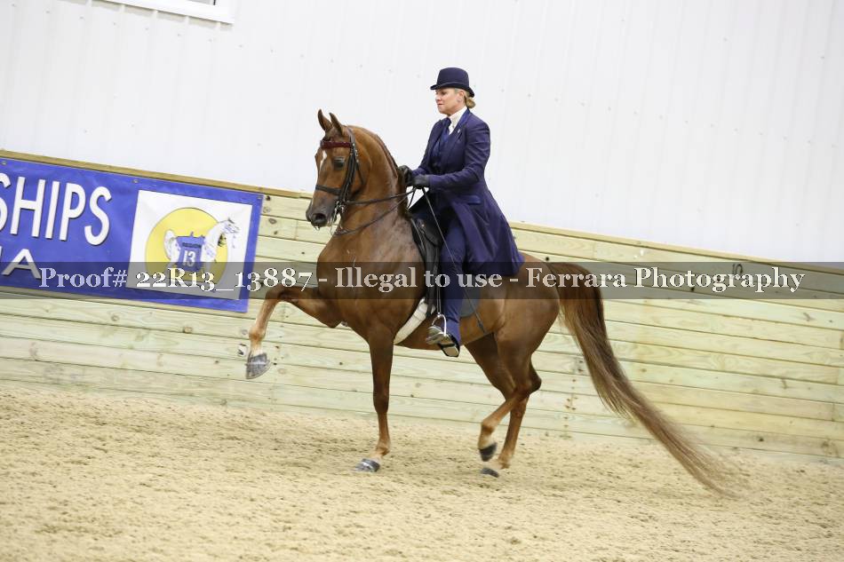 Proof 22R13_13887
