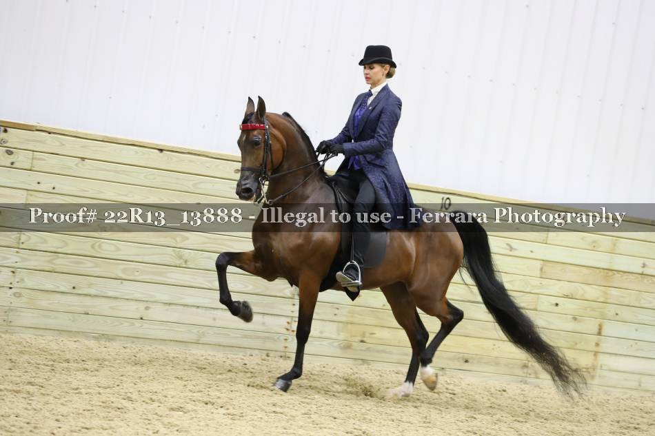 Proof 22R13_13888