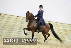22R13_13888 proof