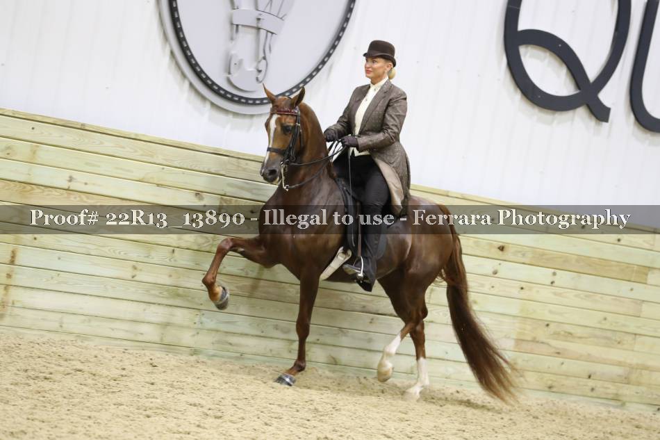 Proof 22R13_13890